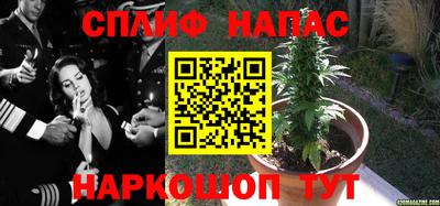 мяу мяу мука Камень-на-Оби
