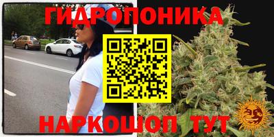 мяу мяу мука Камень-на-Оби